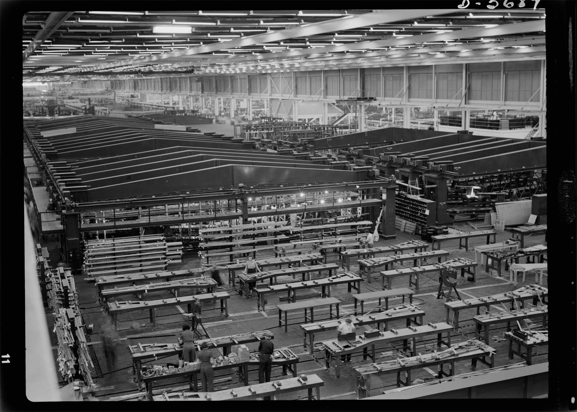 Willow-Plant-1942