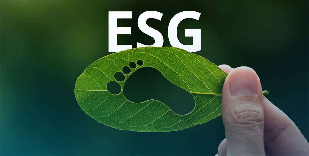 Nachhaltige Unternehmensführung: ESG-konforme Praktiken umsetzen